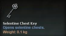 Seletine Chest Key