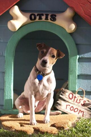 File:Otis2.jpg
