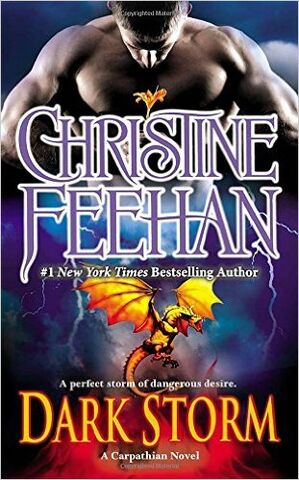 File:Dark storm paperback.jpg