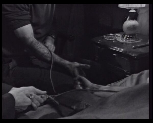 File:231b.jpg
