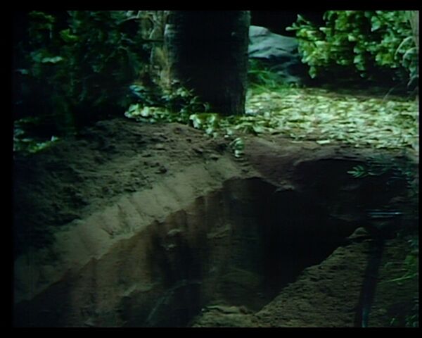 File:864ke.jpg