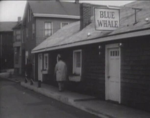 File:Blue Whale.jpg