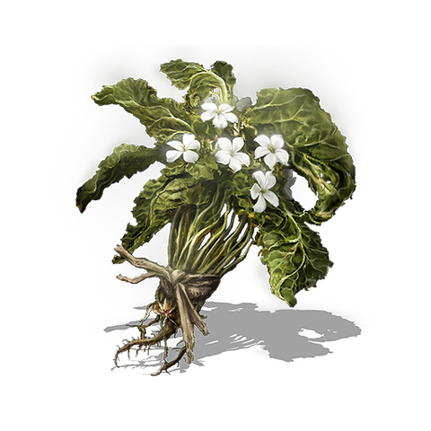 File:Budding Green Blossom.png