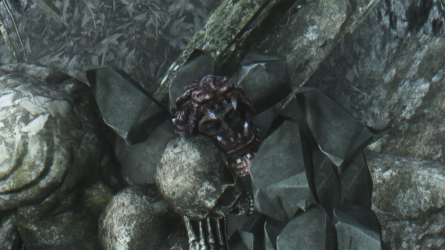 File:Vengarl's Head.png