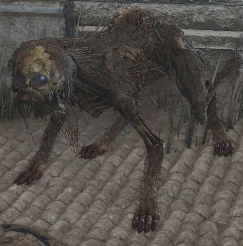 File:Irithyllian beast hound.jpg