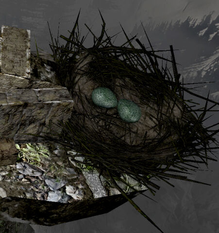 File:Crows nest.jpg