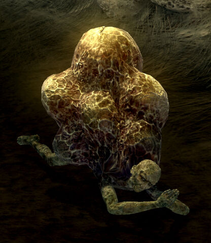 File:Egg burdened.jpg