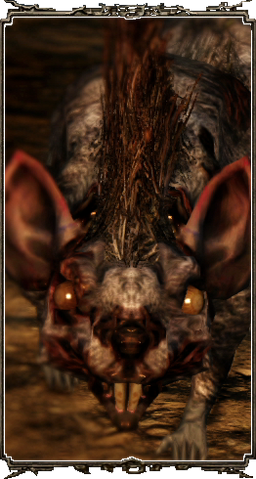 Datei:DS2-KR.png