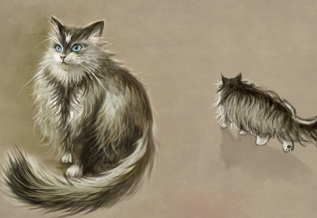 File:Sweet Shalquoir Concept.png