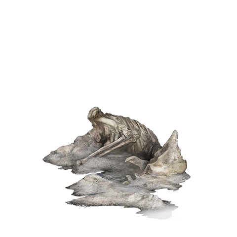 File:Undead Bone Shard.png