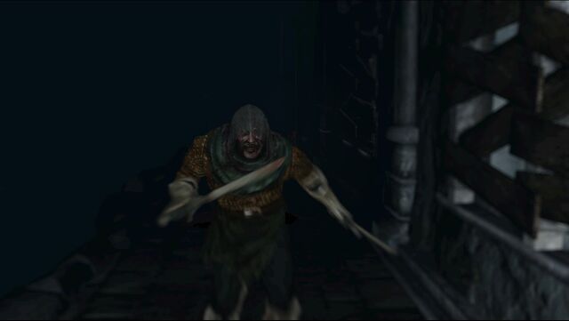 File:DkS2 Rogue Picture.jpg