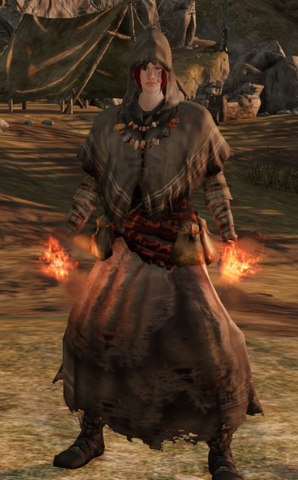 File:Tatteredsetfem.png