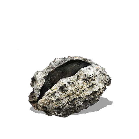 File:Shriving Stone.png