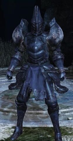 File:Alonne Captain Set.jpg