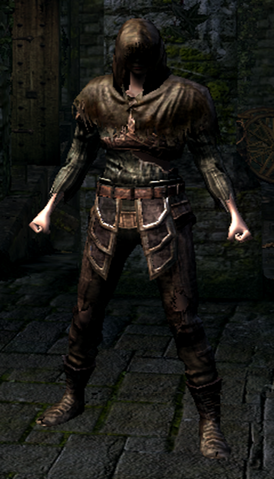File:Hollow thief female.png