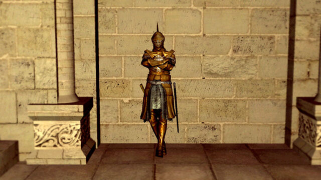 File:Darkmoon knightess.jpg