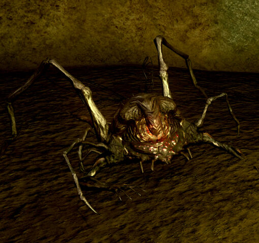 File:Cragspider.jpg