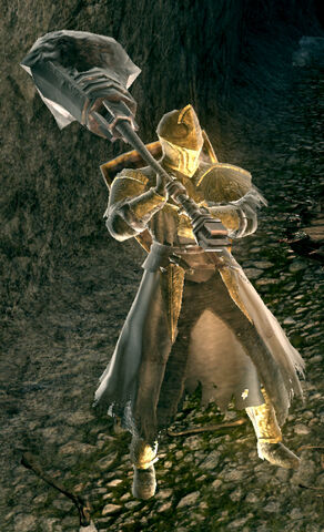File:Paladin Leeroy01.jpg