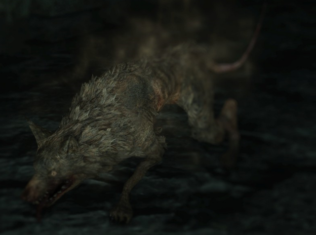 File:Rat Pharros.png