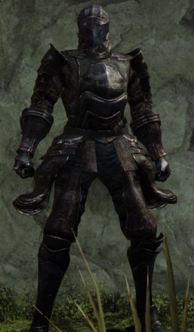 File:Alonne Knight's.png