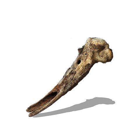 File:Loretta's Bone.png