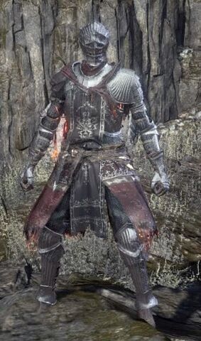 File:Firelink Set III.jpg