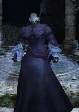 File:Black Witch Set 2.jpg