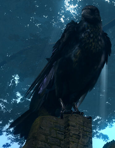 File:Giant crow01.jpg