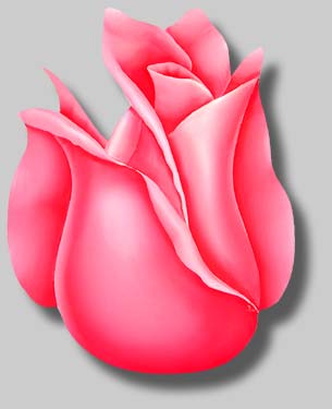File:Rosebud-w-gray-lg.jpg