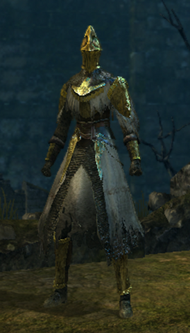 File:Paladin set male.png