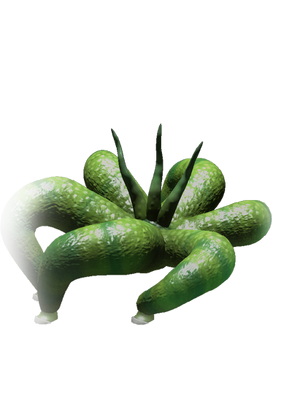 Protoplasm