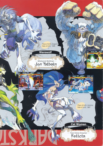 File:DS NW UK Aracade Flyer 06.png