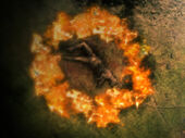 Circleevent2