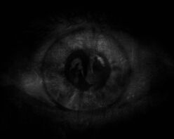 Eye prologue