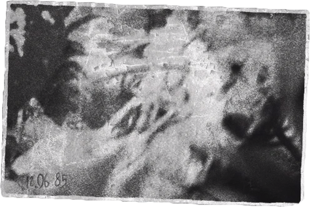 Файл:Unknown photo.png