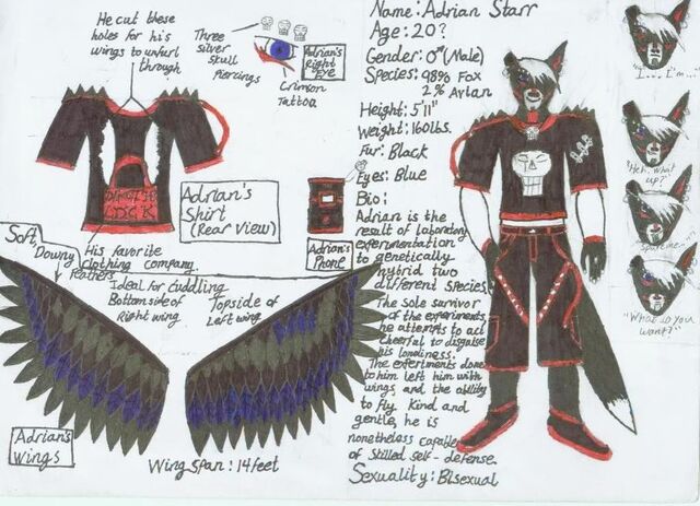 File:Adrian Starr Sheet 1.jpg