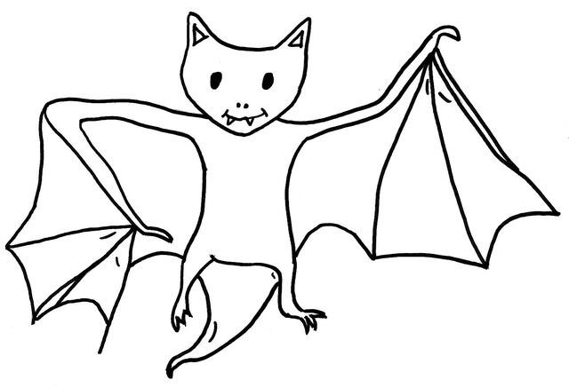 Datei:Fledermaus1.jpg