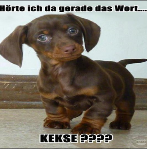 Datei:Für harry granger.png