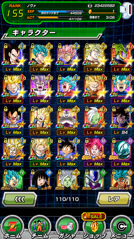 File:Dokkan Team33.png
