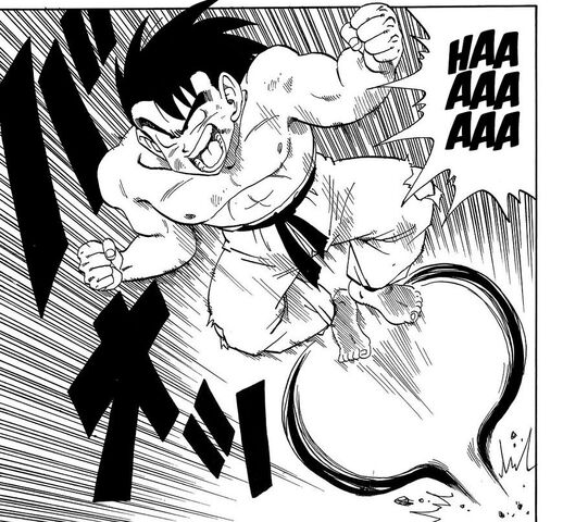 File:Feet Kamehameha.jpg