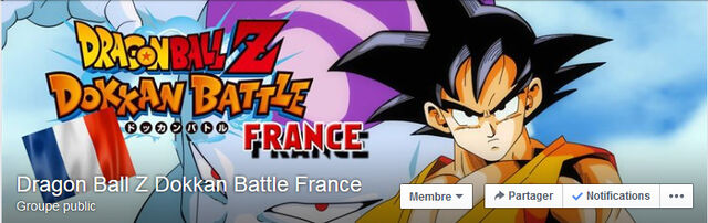 File:DBZ FB french group.jpg