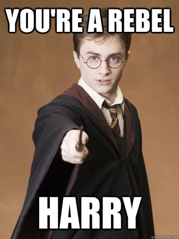 File:7841bde0ea887c94bc9d5c04571114bc youre-a-rebel-harry-rebel-memes 450-600.jpeg