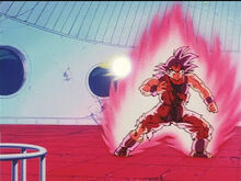 Dbz60-05