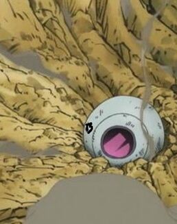 Biri space pod