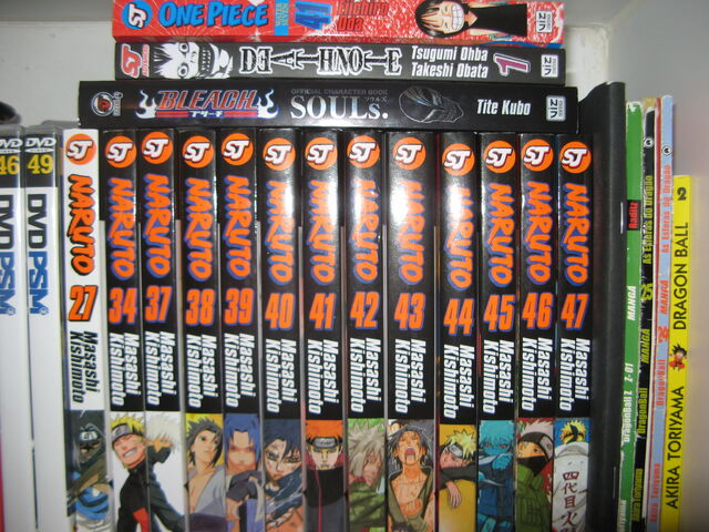 Ficheiro:Mangas2.jpg