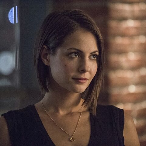Datei:Thea Queen.jpg