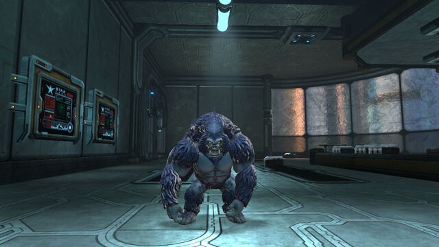 File:Lloyd the gorilla.jpg