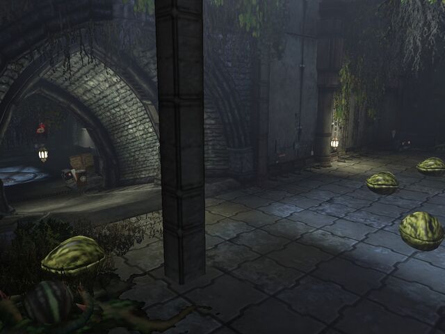 File:TheGreenHouse5.jpg
