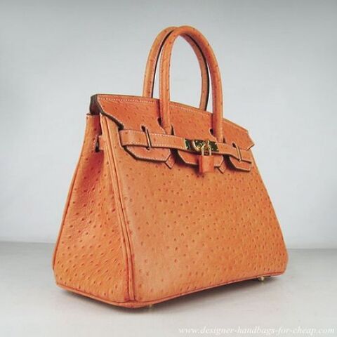 File:Hermesbag.jpg
