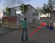 VC Sunshine Autos und Export-Garage.jpg